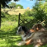 Frühstückspension Au Petit Bignon Les Épesses