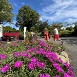 Au Petit Bignon 3* Les Épesses