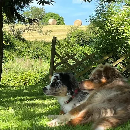 Bed and Breakfast Au Petit Bignon Les Épesses